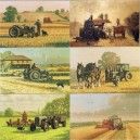 Ferguson Tractors Greeting Cards