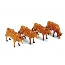 Jersey Cattle