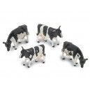 Fresian Cows