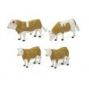 Simmental Cattle