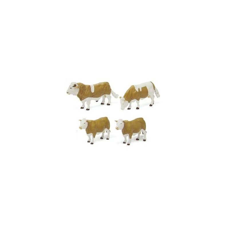 Simmental Cattle