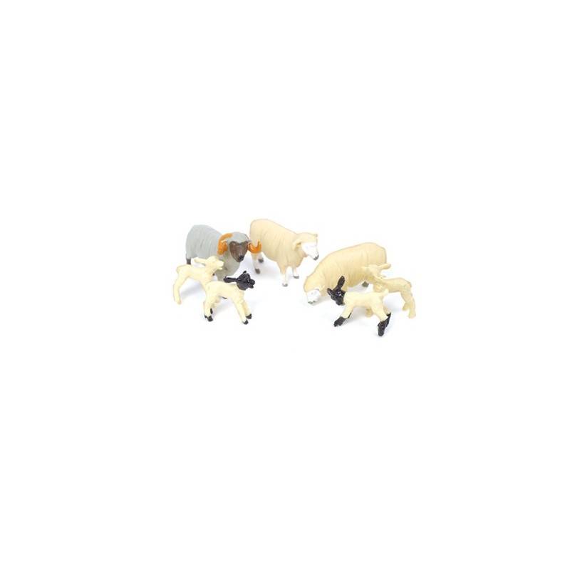 Sheep