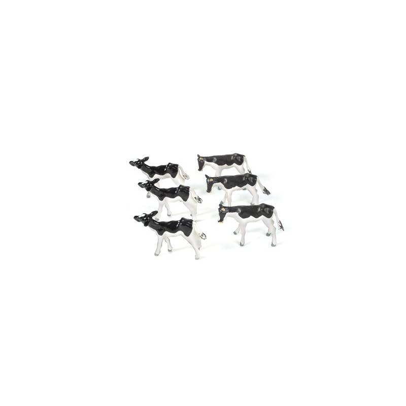 Fresian Calves